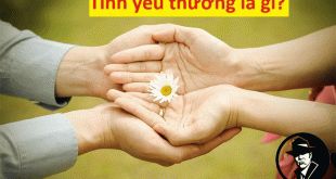 chỉ có tình yêu và sự trân trọng