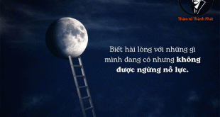 hãy tận hưởng những gì bạn đang có