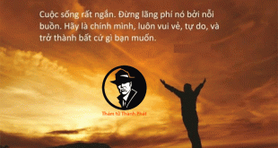 người đến thì đón hết thương thì đi