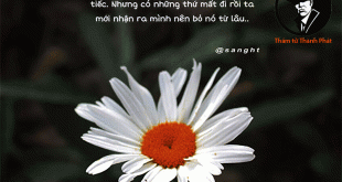 mất rồi mới thấy quan trọng