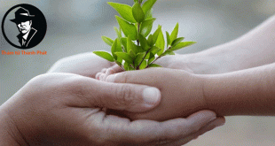 thử bao dung một lần