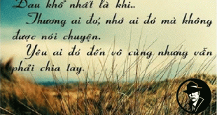 cuối cùng cũng chỉ là sợ mất anh