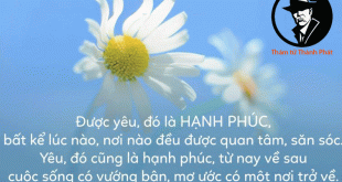 hạnh phúc đó anh không có