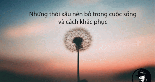 học cách làm mới những thói quen