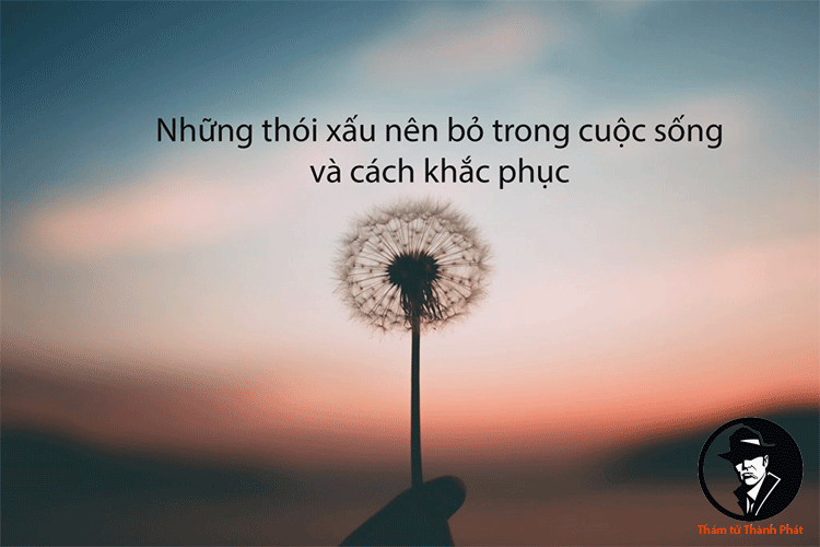 học cách làm mới những thói quen