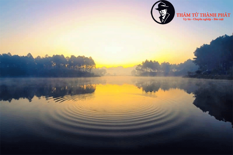 tôi đã biến mặt hồ yên ả trở nên dậy sóng