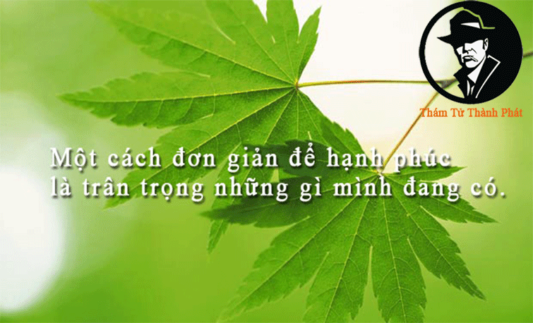 trân trọng những gì mình đang có
