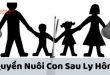 cách giành quyền nuôi con