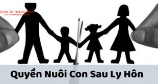 cách giành quyền nuôi con