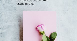 không lạc mất chính mình