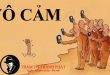 sự vô cảm của con người