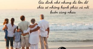 tự do hay là gia đình nhỏ