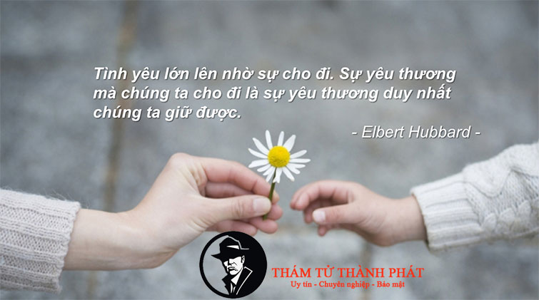 yêu hay là thương