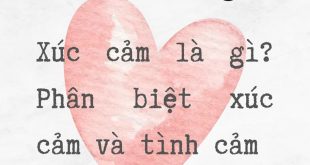 tình cảm là thứ khó điều khiển