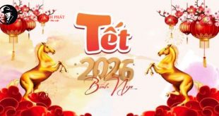 vui đón tết trọn vẹn