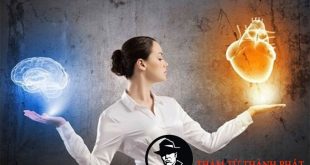 trực giác phụ nữ