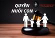 bảo vệ quyền lợi khi ly hôn