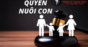 bảo vệ quyền lợi khi ly hôn