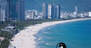 detective agency in da nang