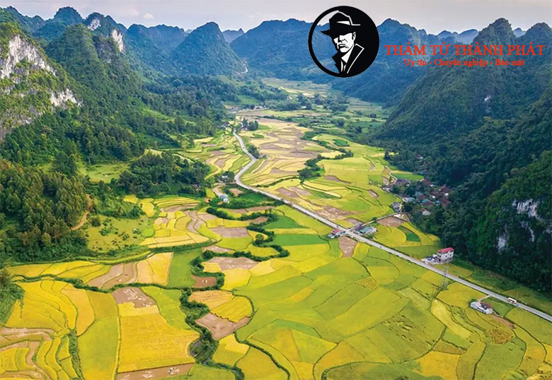 thám tử cao bằng