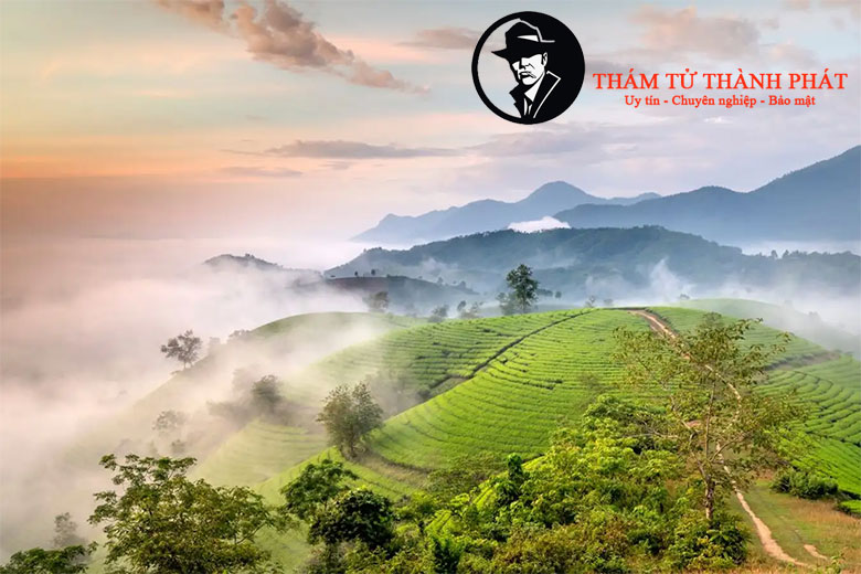 thám tử phú thọ