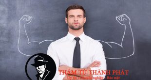 mạnh mẽ thế nào cũng cần một bờ vai
