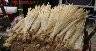 lạt mềm buộc chặt